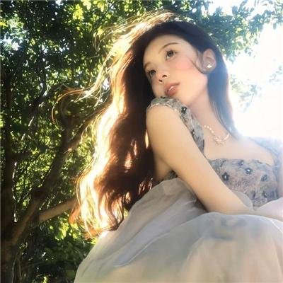大内密探王二狗