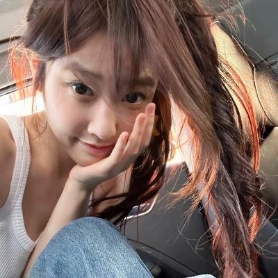 小狗吉米走私事件